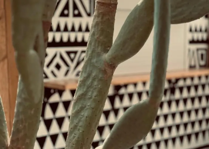 La Casa Di Lusso N7 -adults Only *