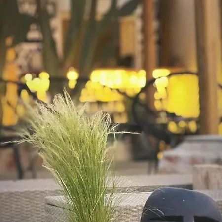 Σπίτι διακοπών La Casa Di Lusso N7 -adults Only Κολύμπια