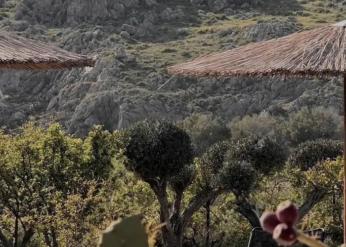 La Casa Di Lusso N7 -adults Only *