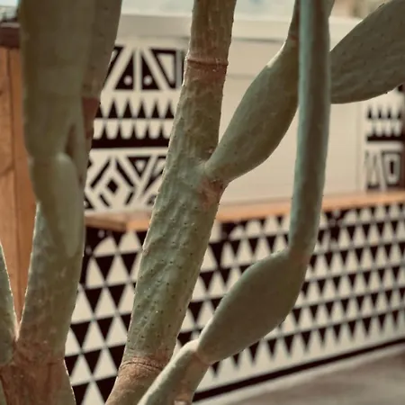 La Casa Di Lusso N7 -adults Only *